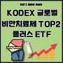 비만치료제 관련주 및 전망, KODEX 글로벌 비만치료제 TOP2 플러스 ETF 를 알아보자