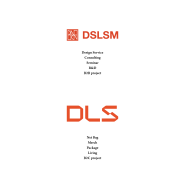 안녕하세요, DLS[the else] by DSLSM 입니다.