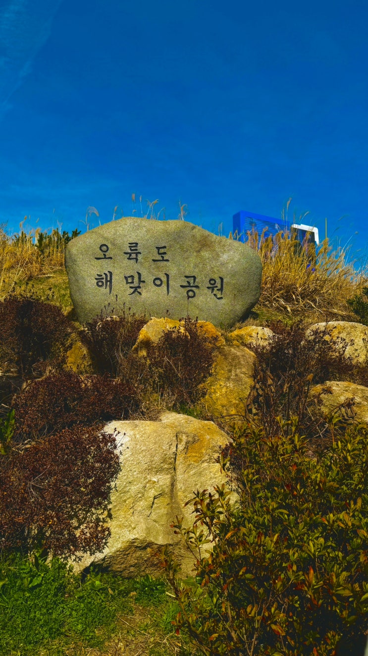 오륙도 해맞이공원 수선화 부산 스카이워크 입장료 국내...