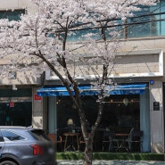 서울 합정 카페 내돈내산 추천 벚꽃 데이트로 컨큐어 푸딩 쪼아