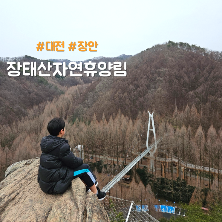 대전 아이와 가볼만한곳 장태산자연휴양림 출렁다리...