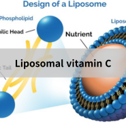Liposomal vitamin C - 인천터미널정형외과, 신사터미널마취통증의학과
