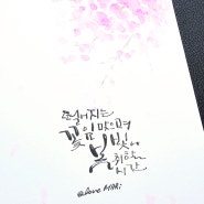 벚꽃의 초대 / 딥펜캘리그라피 / 글향예술협회 / 마리캘리
