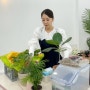 [강의] 플랜테리어 전문가의 오늘부터 나도 식집사, 홈가드너의 반려식물 키우는 방법(with 시청자미디어재단)