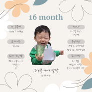 16개월 아기 발달 놀이 몸무게 키장난감 언어