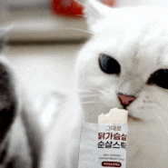 고양이 츄르 대용량도 있는 골드로니 그대로 순살스틱