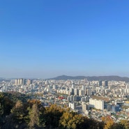 대전 보문산 전망대 산책로 나들이