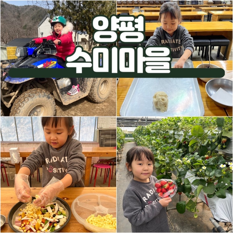 경기도 양평 여행 아이와 가볼만한곳 딸기 송어 축제 수미마을...