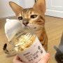 고양이간식 가자미트릿 뽀시래기 맛있게 냠냠