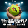 '스타 테니스공 매치포인트' 대한테니스협회(KTA)와 국제테니스연맹(ITF) 인증을 받은 프리미엄 테니스공!