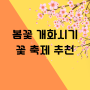 2024년 봄꽃개화시기와 벚꽃 축제 일정 정보