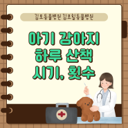 김포동물병원 아기 강아지 하루 산책 시기 횟수 주의사항