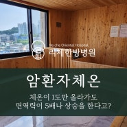 암환자체온 1도만 올려도 면역력 상승과 재발 위험까지 막아