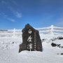한라산1947m겨울등산 한라산성판악코스