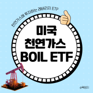 미국 천연가스 ETF BOIL 주가 알아보기