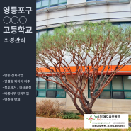 [1종나무병원] 서울 영등포○○○고등학교 조경관리
