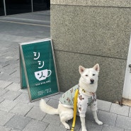 진돗개랑 맛집 탐방! [희희잇] 서울 강서 마곡 애견동반 브런치 카페