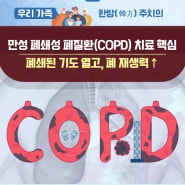 만성 폐쇄성 폐질환(COPD) 치료 핵심 폐쇄된 기도 열고, 폐 재생력↑