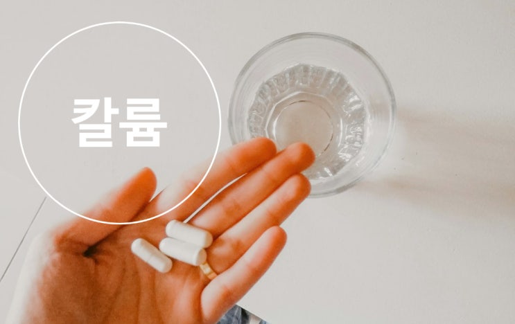 칼륨영양제 칼륨부족 : 네이버 블로그