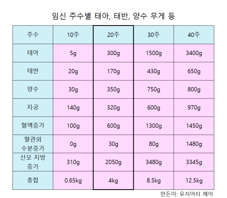 임신 주수별 태아 무게, 태반 무게, 양수 무게 등(나님 22주차) : 네이버 블로그