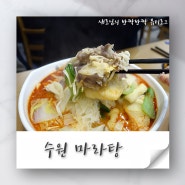 수원 마라탕 질리지 않고 언제나 맛있어