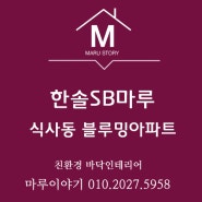 고양시 식사동 소재 블루밍아파트에 한솔SB강 로이드그레이 시공