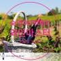 [프랑스와인전문가과정] Le Cordon Bleu 르꼬르동블루 숙명아카데미 프랑스 와인 전문가 과정 10기 모집!