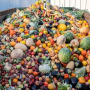 크루즈 선박에서 음식물 쓰레기를 줄이고 재활용하는 방법