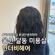 울산 달동 미용실 히피펌 잘하는 곳 추천 :: 인더비헤어 ::