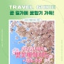 🌸 2024년 전국 벚꽃 개화시기 & 개화명소 추천