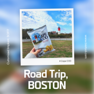 '코클레오의 세계여행' 이번엔 미국 보스턴으로! #4