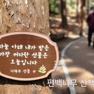 부산 산책하기 좋은 숲쎈로드 대신공원부터 내원정사 꽃마을 편백나무숲길 1시간(ft.씨앗호떡)