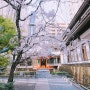일본(日本) 교토(京都) 벚꽃(さくら)여행 2일차 14.롯카쿠도(六角堂)