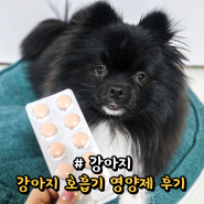 강아지 켁켁거림, 강아지 호흡기 영양제 헤파카디오Q10 후기