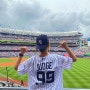 MLB 유니폼 져지 사이즈 꿀팁 | 뉴욕 양키스 유니폼 내돈내산 구매 후기