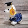 애견복 같은 강아지 인형 옷 졸업가운 맞춤 제작