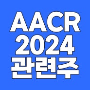 AACR 2024 초록 미국암학회 관련주 한방 정리