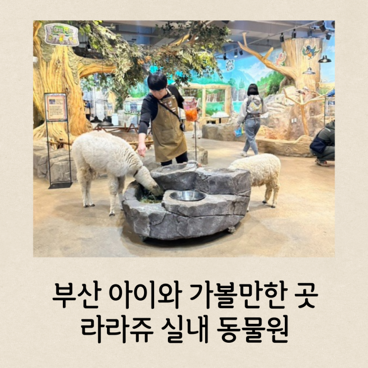 부산 아이와 가볼만한 곳 라라쥬 실내 동물원 명지