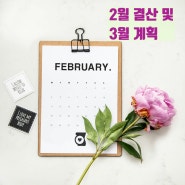 2월 결산 및 3월 계획