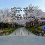 대구 경북 3월 4월 봄꽃 명소 가볼만한곳