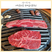 대전 둔산동 시청역 근처 고기 맛집 한마음정육식당