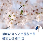 봄바람 속 시니어 분들을 위한 봄철 건강 관리 팁