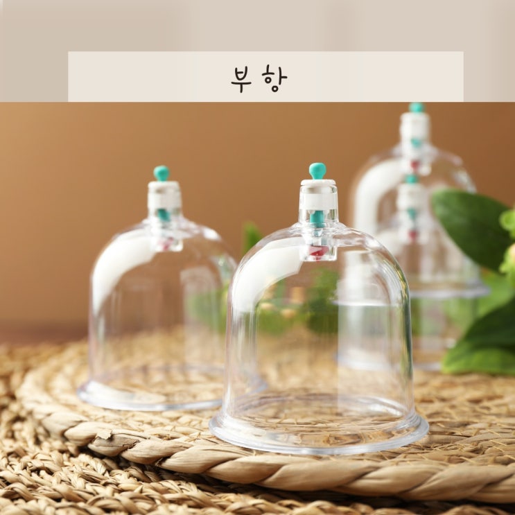 부황 부항 효과 습부항 사혈침 원리 : 자국 지속 시간 알아보자 : 네이버 블로그