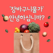 금사과, 금딸기가 된 이유, 올해는 나아질까요?