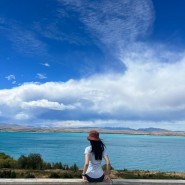 뉴질랜드 여행 | 테카포에서 푸카키 호수, 푸카키 뷰포인트, 마운트쿡 알파인 연어