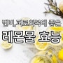 레몬물 효능 변비 피로회복 탁월한 효과. 만드는 법 (feat. 레몬 오이 물)