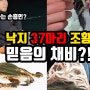 새로운 미끼로 낙지 37마리조황! 믿음의 채비!?