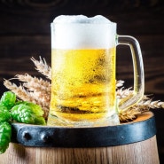 맥주효모환 효능 먹는법 부작용&독일맥주효모 추천