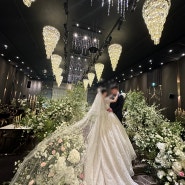 # 대구 파라다이스웨딩 컨벤션 스텔라홀 결혼식 진행 후기