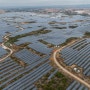 중국이 태양 에너지 분야에서 세계를 지배하게 된 계기